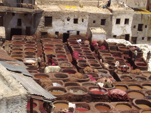Maroc Les tanneurs de Fès