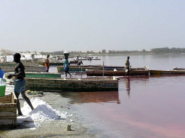 Senegal Lac rose