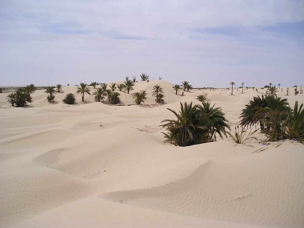 Tunisie desert