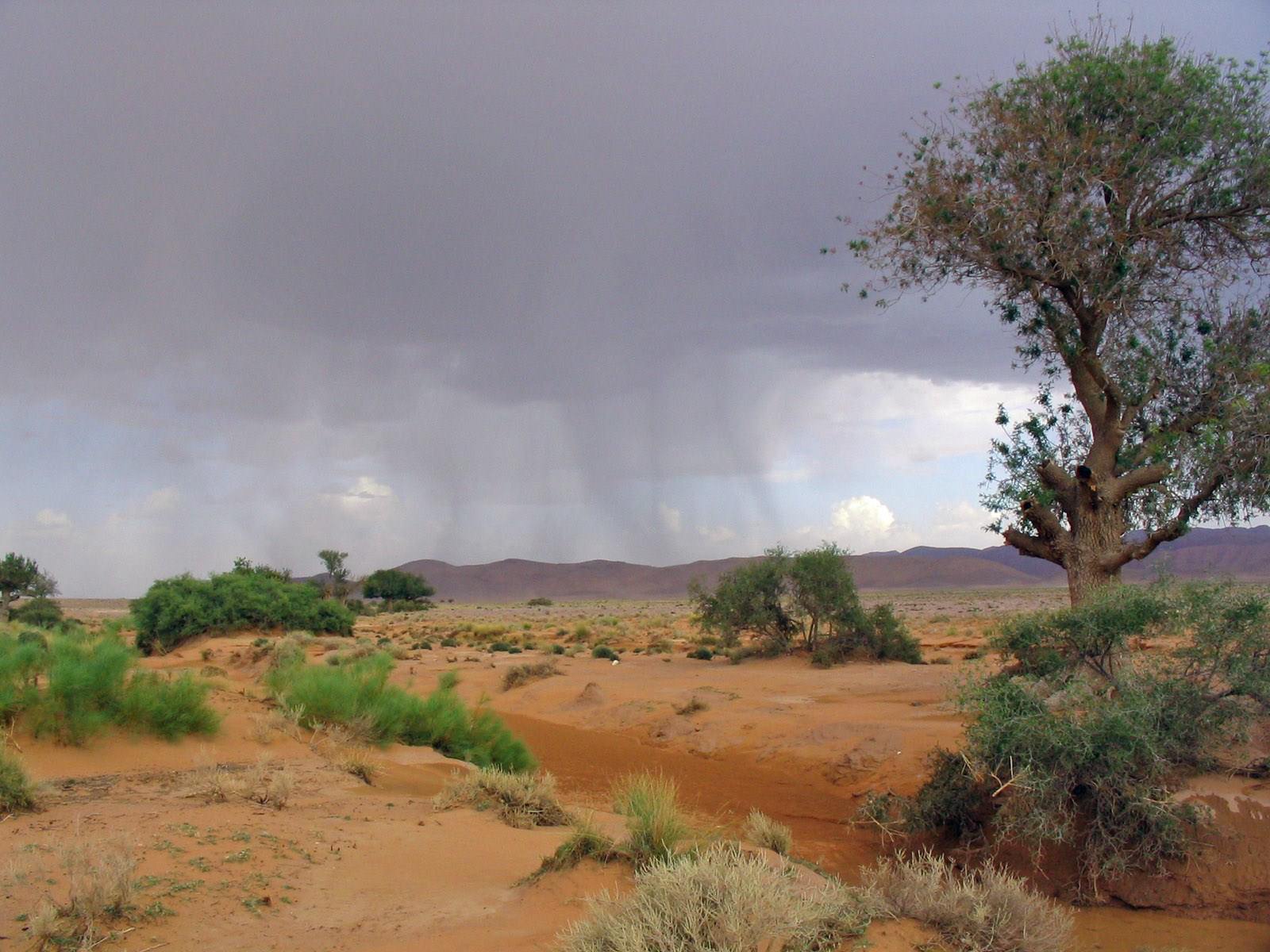 Deserts Orage plateau Marocain