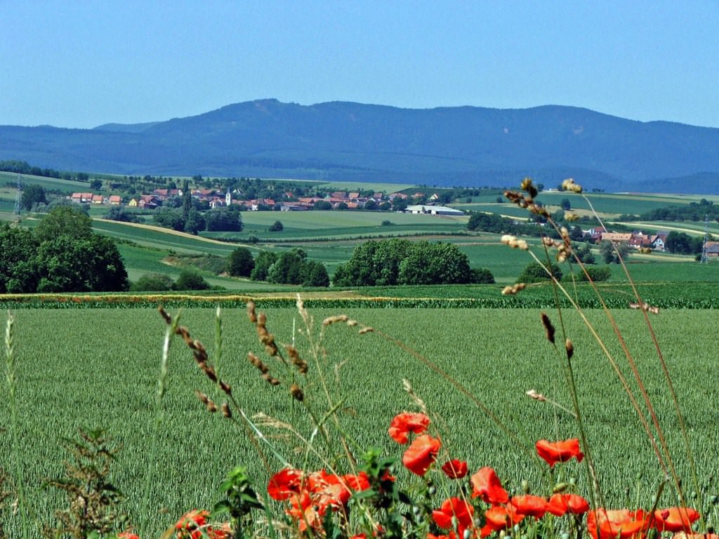 France Alsace Village paisible loin de la cohue...