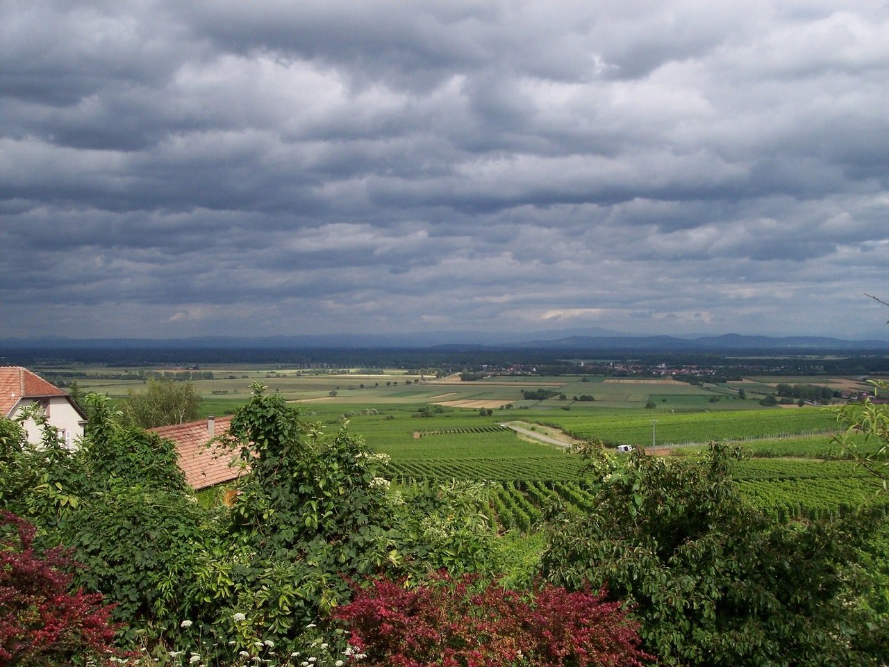 France Alsace vue de la colline de Zellenberg
