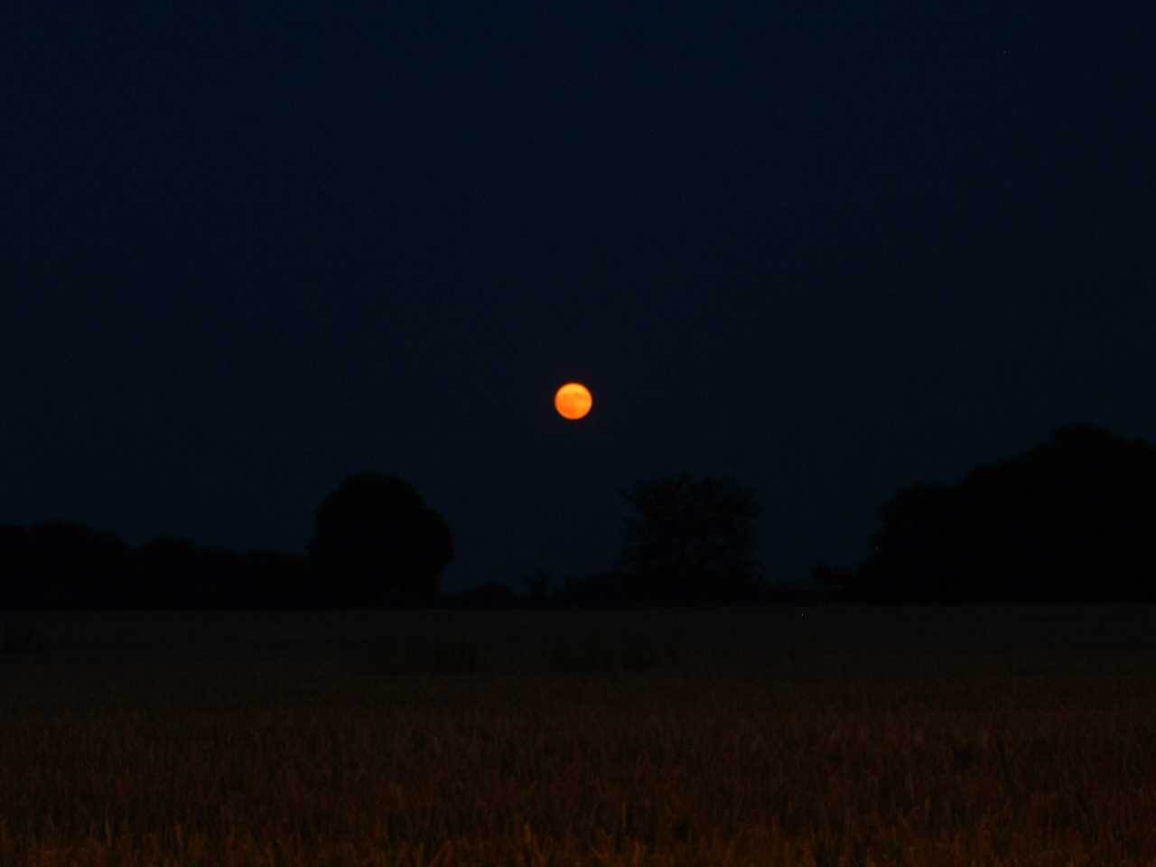 Lune lune orange