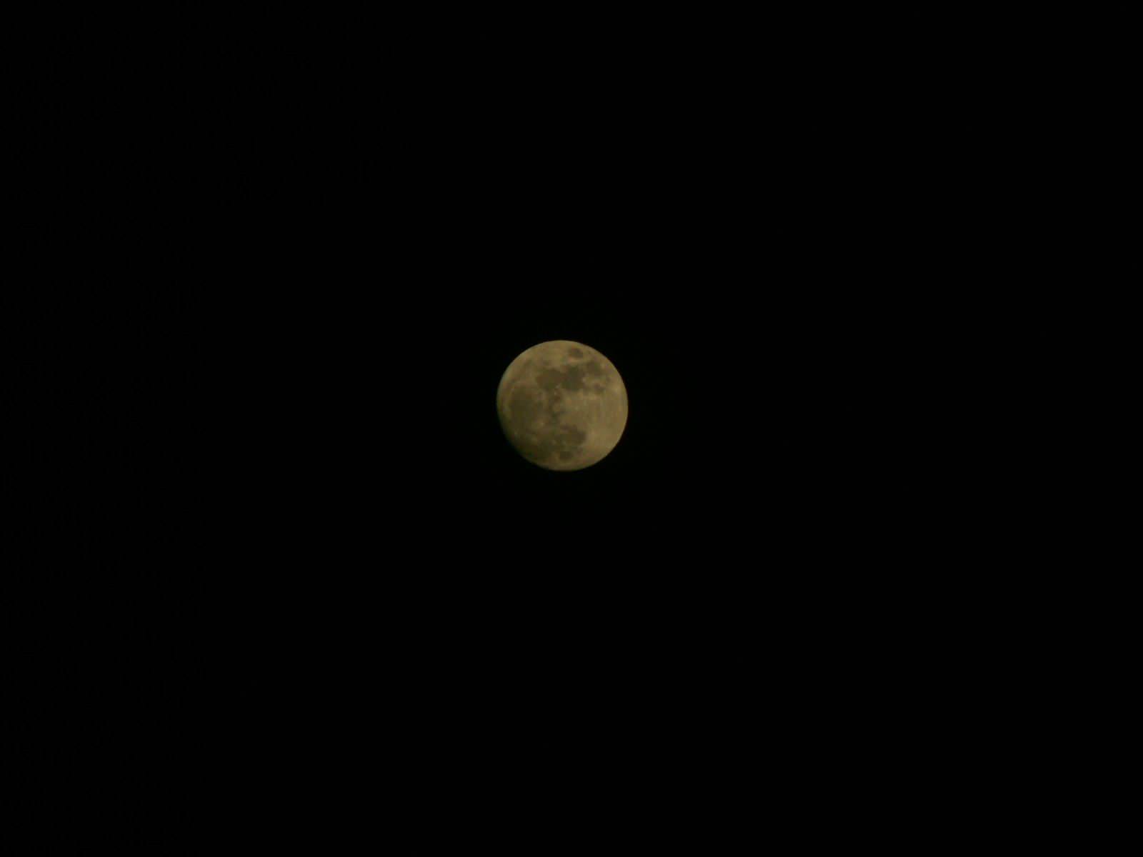 Lune Lune