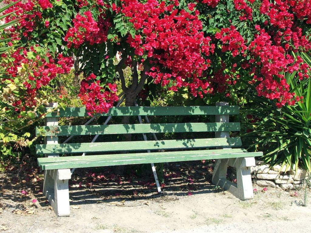 Parcs et Jardins Ile de Chypre : Limassol