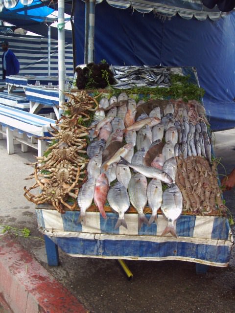Divers Etalage du pêcheur à Essaouira.