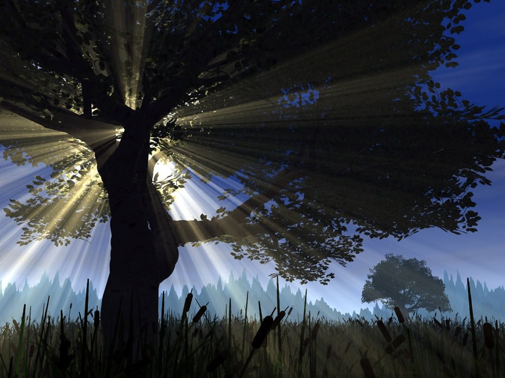 3D et Vue D esprit L'arbre des fées