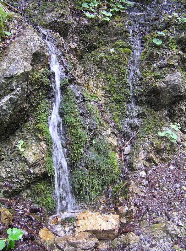 Cascades et Chutes petite cascade