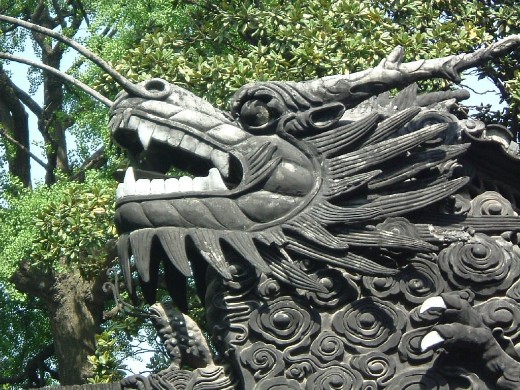 Chine Tête de Dragon