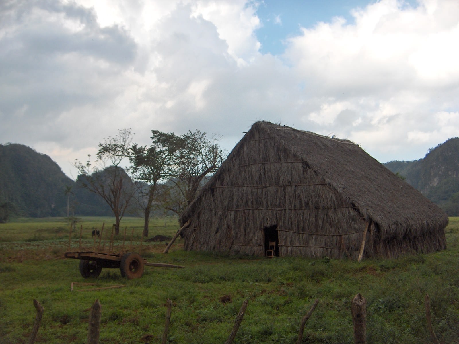 Cuba Pinar del Rio, cabane de séchage du tabac