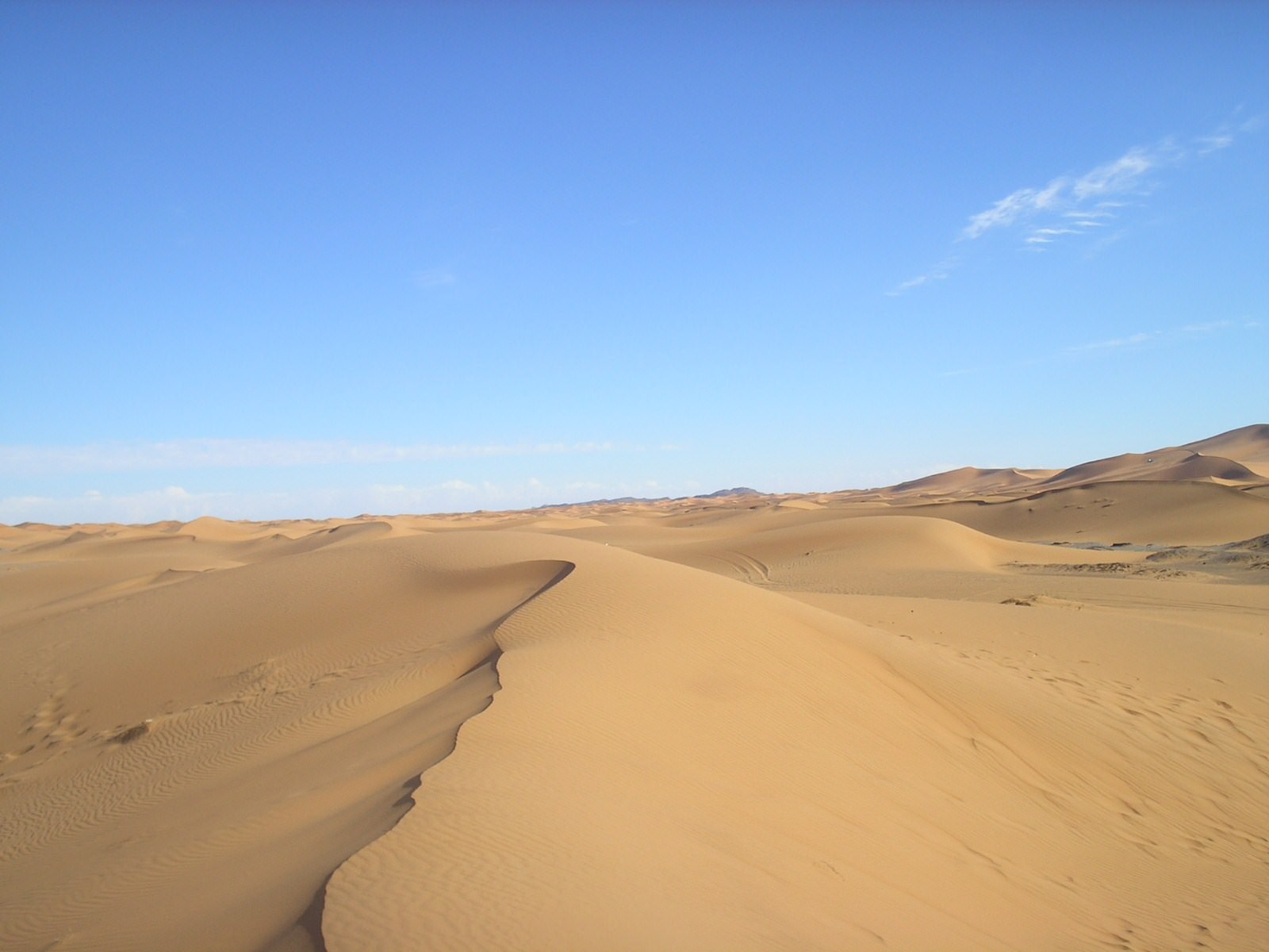 Deserts dune de marzouga maroc