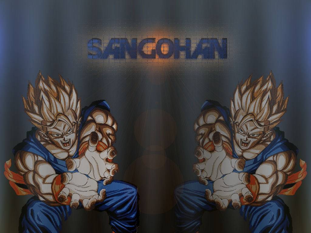 Dragon Ball Sangohan