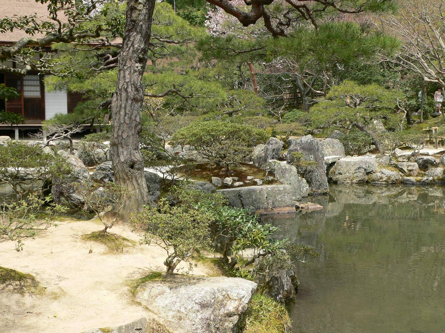 Japon Jardin de mousse