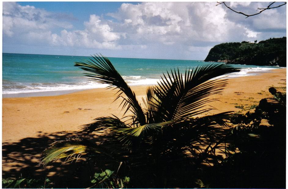 La Guadeloupe VUE de L'HOTEL