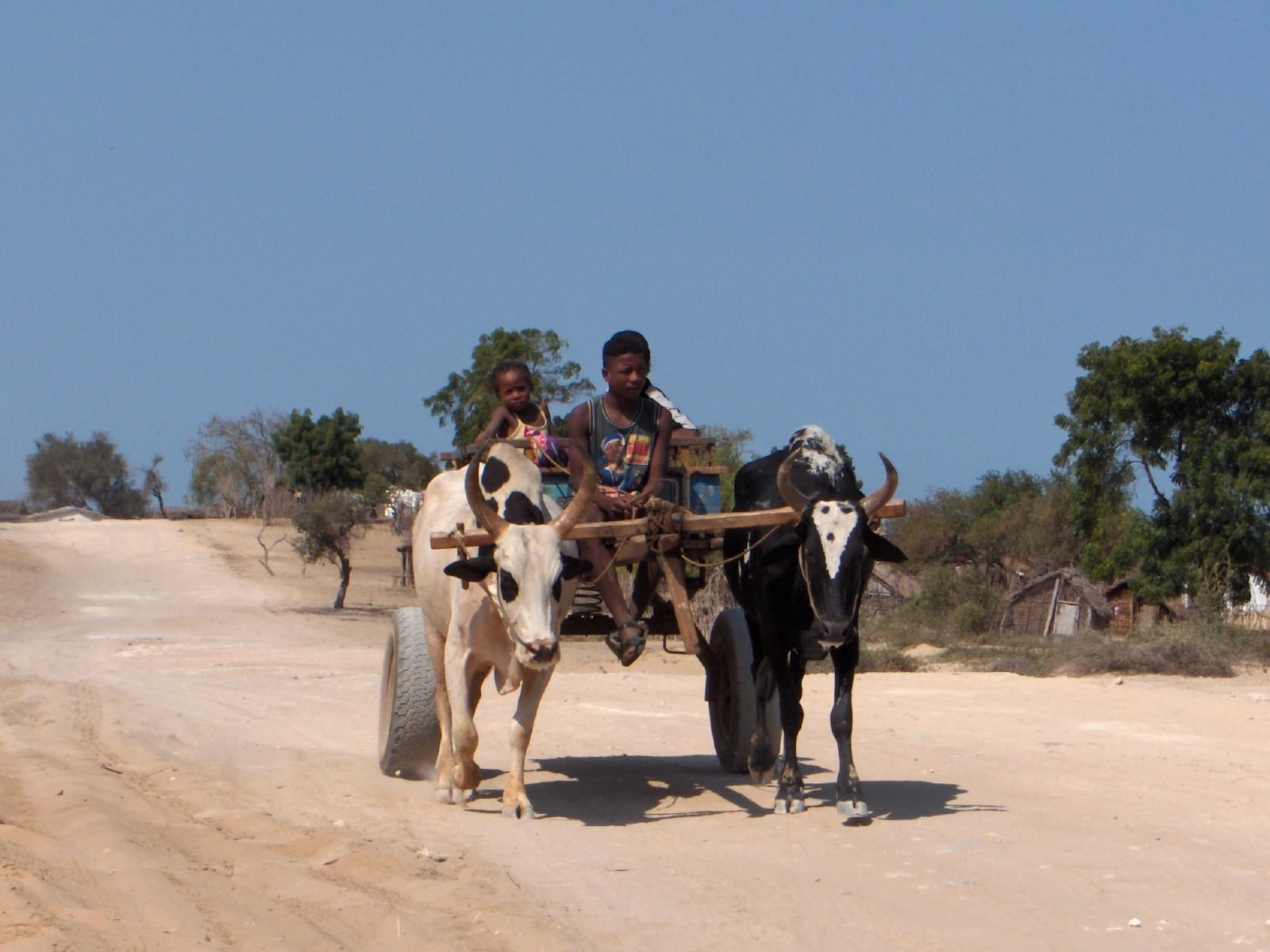 Madagascar Transport dans le sud
