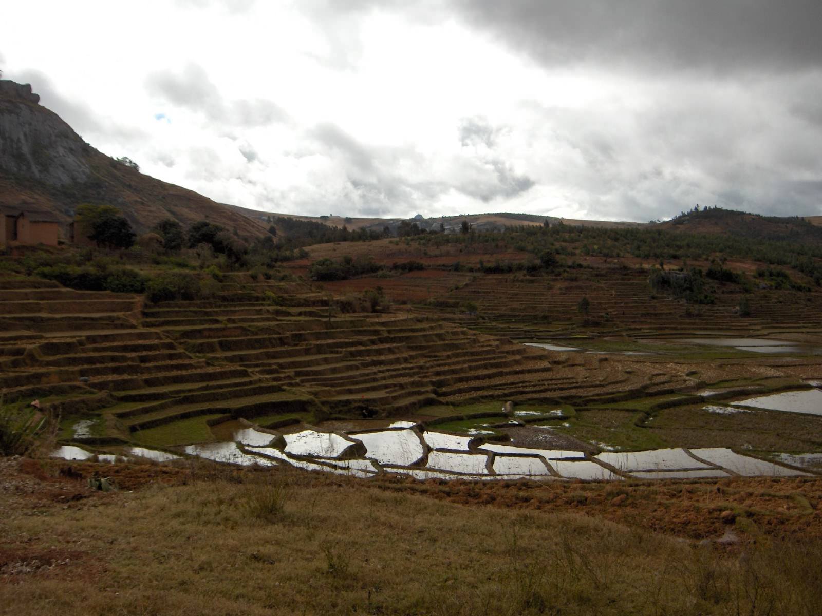 Madagascar Les rizières entre Ambalavao et Fianarantsoa