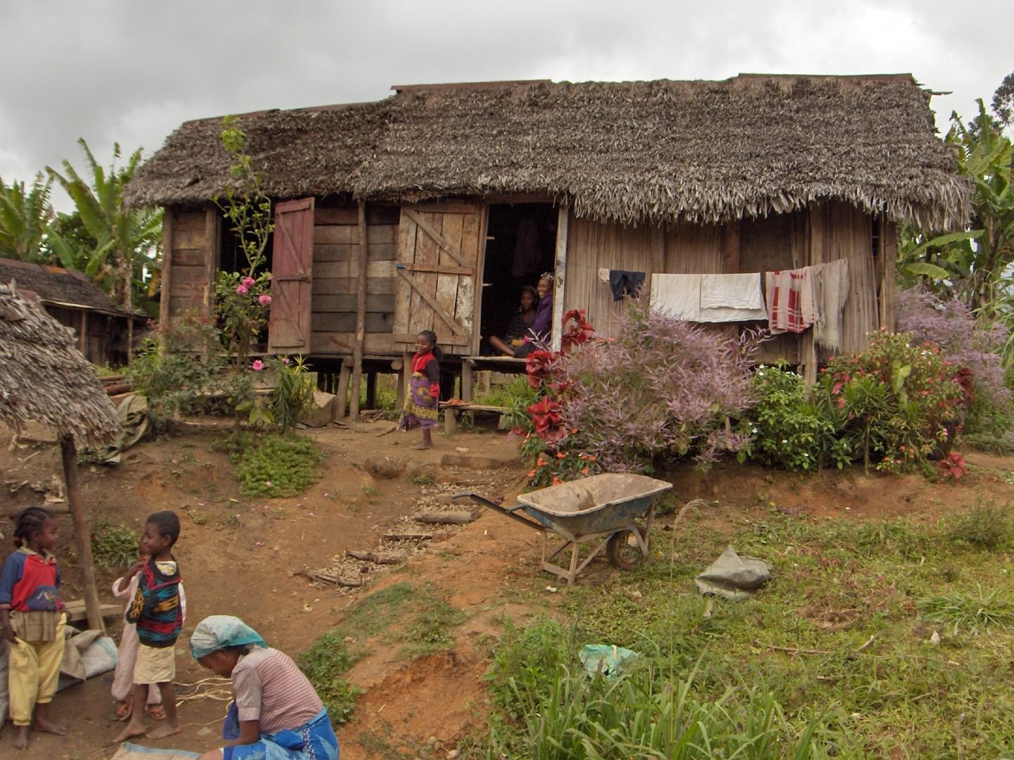 Madagascar Sur la route d'Andasibé aux Pangalanes
