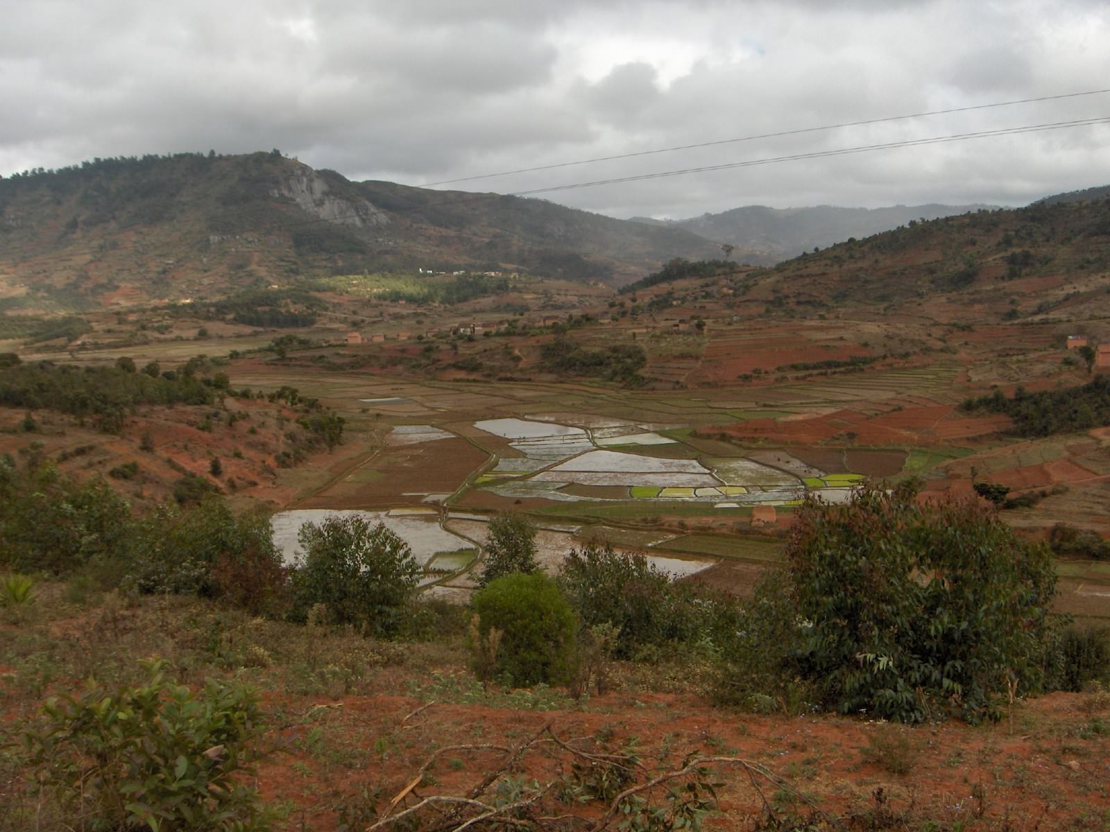 Madagascar Dans les rizières, de Fianarantsoa à Antsirabé