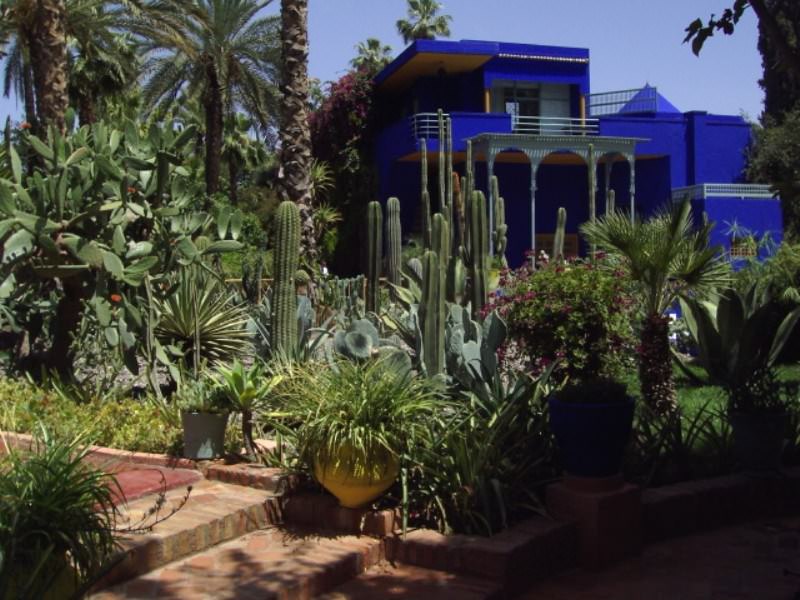 Maroc les jardins de majorelle (maroc)