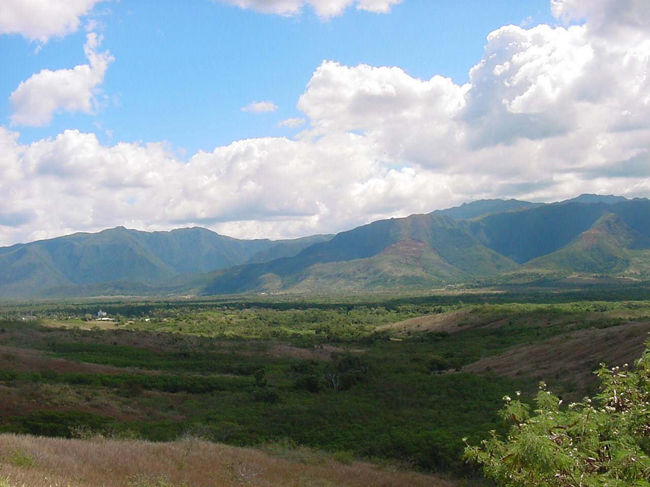 Nouvelle Caledonie En brousse, entre Bourail et Bouirou