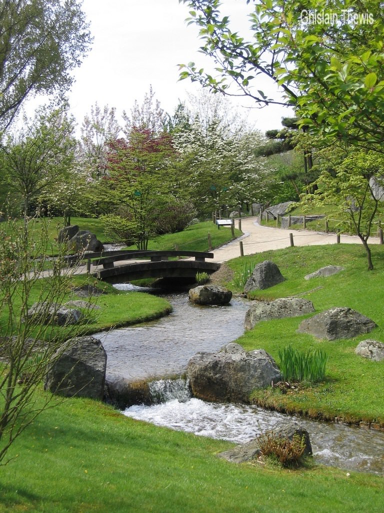 Parcs et Jardins jardin japonais de Hasselt