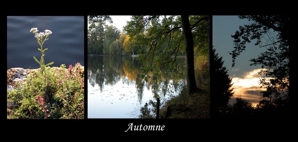 Saison automnale Composition-automne