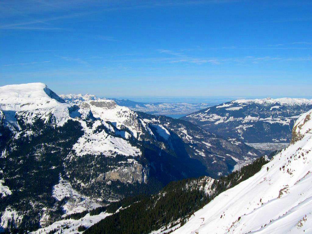 Suisse Grindelwald