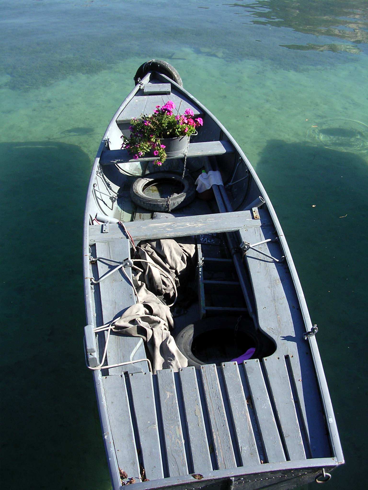 Barques et Pirogues Flottant sur le lac d'Annecy