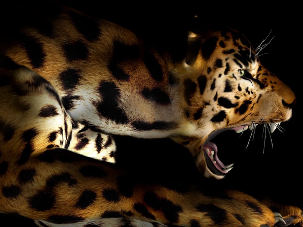 Jaguars Wallpaper N°145655