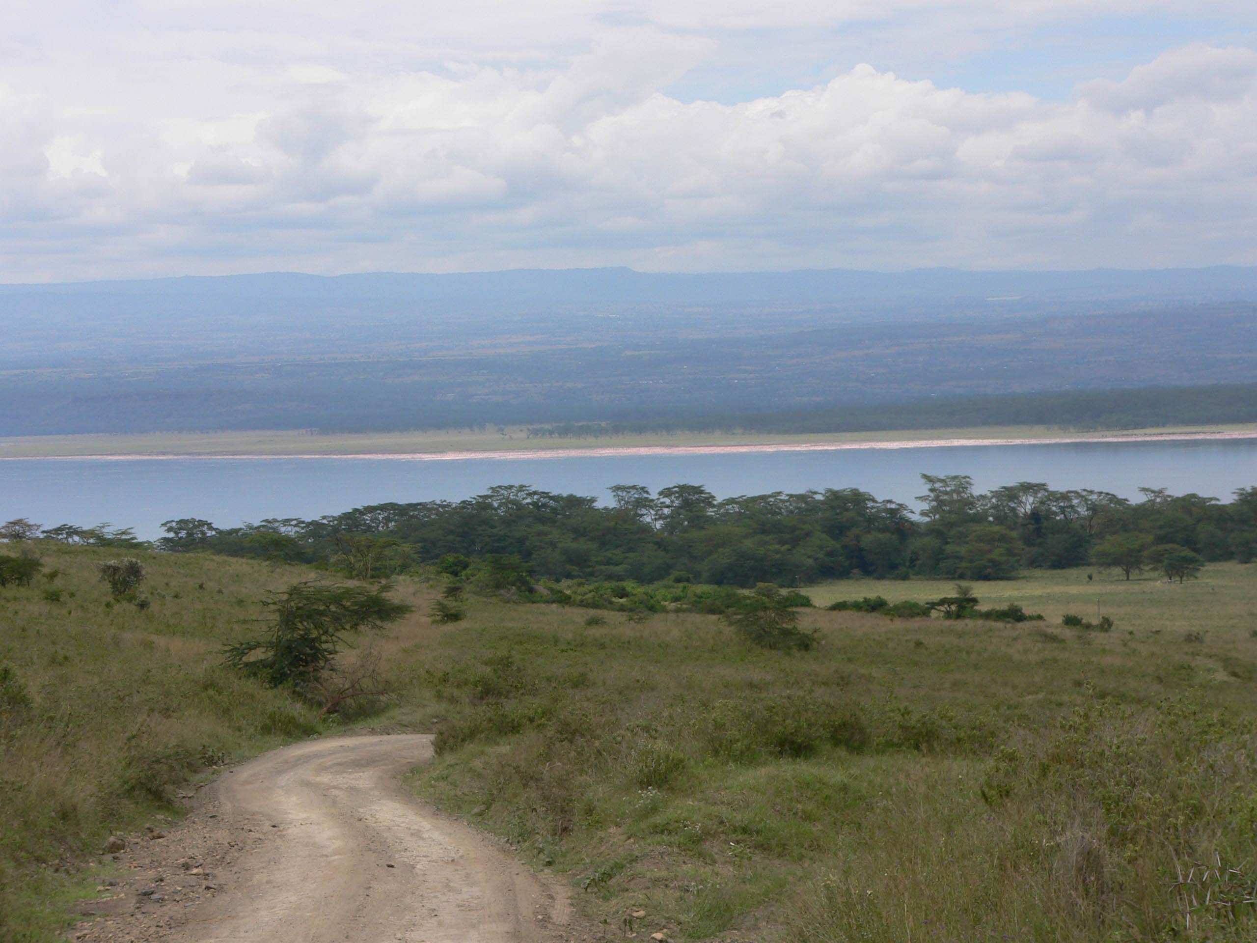 Kenya le lac nakuru