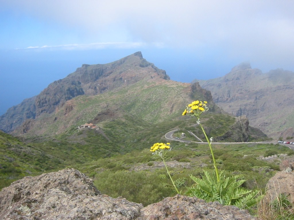 Les Canaries Route de Masca (Tenerife)