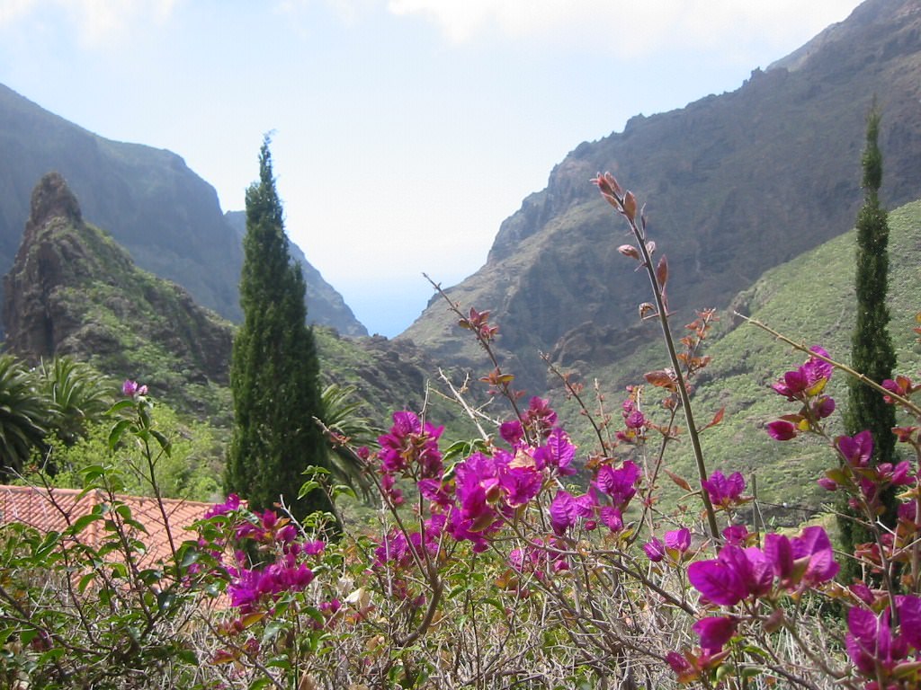 Les Canaries Vallée de Masca (Tenerife) 2
