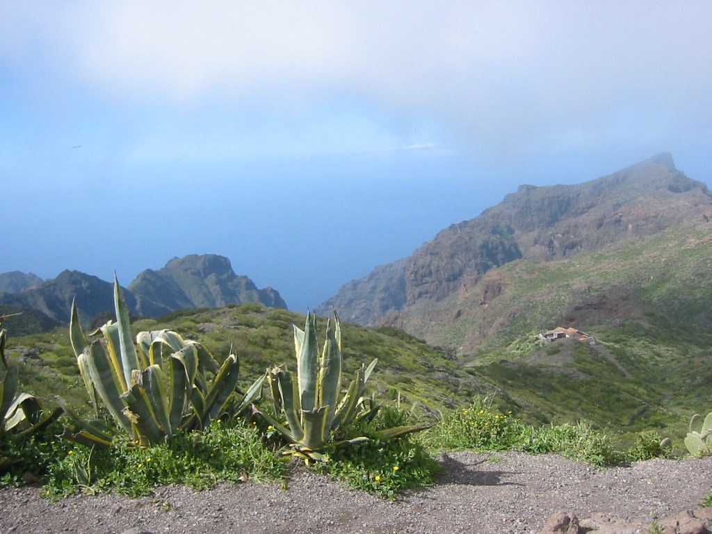 Les Canaries Route de Masca 2 (Tenerife)