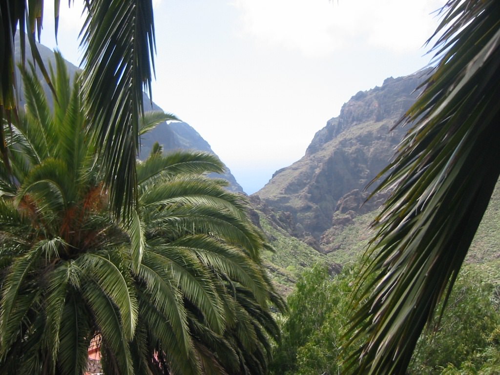 Les Canaries Vallée de Masca (Tenerife)