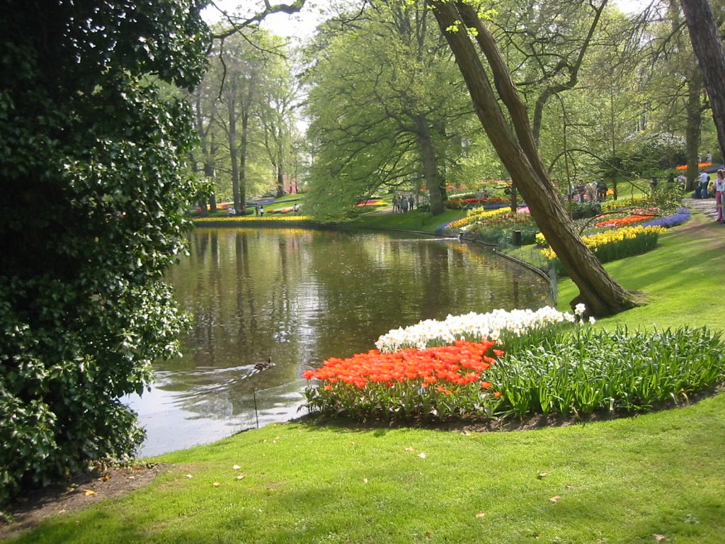 Parcs et Jardins Parc floral à Keukenhof (Hollande) (2)