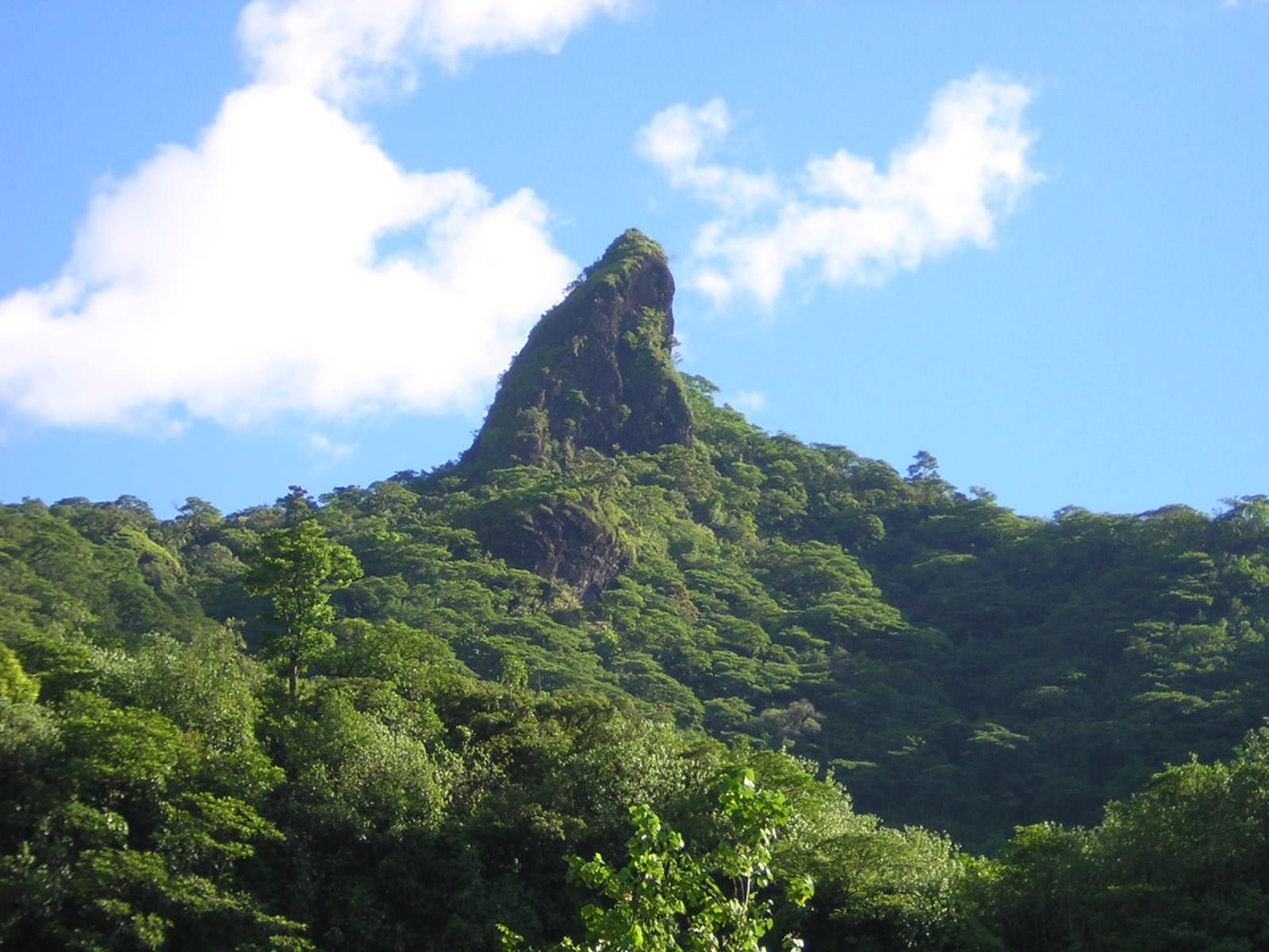 Tahiti verte vallée