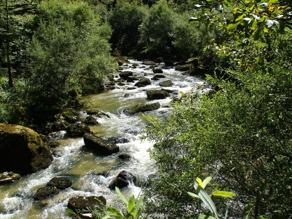 Cascades et Chutes Cascade du Flumen à ST.CLAUDE(Jura)