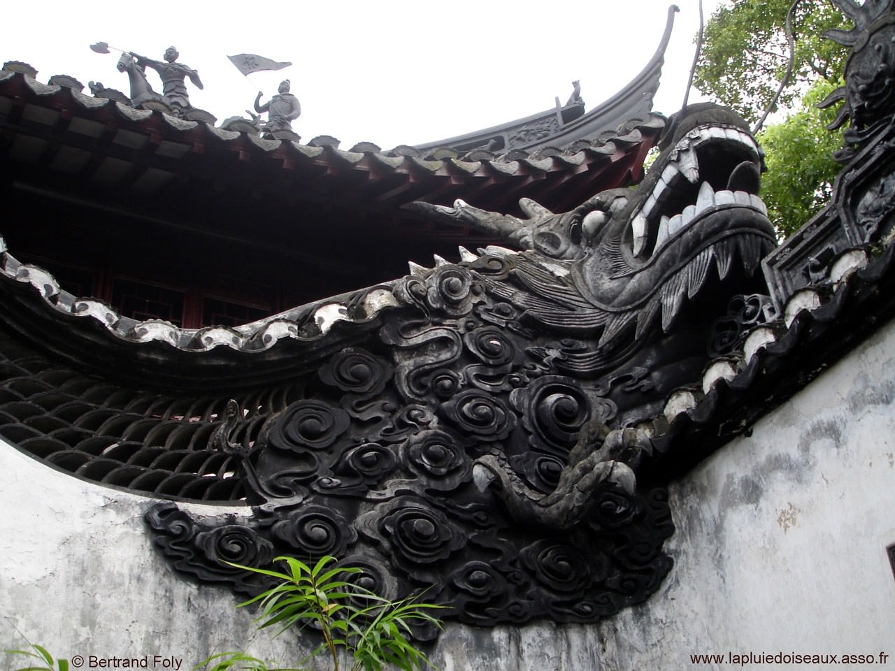 Chine Dragon dans un jardin de Shanghai (Chine)