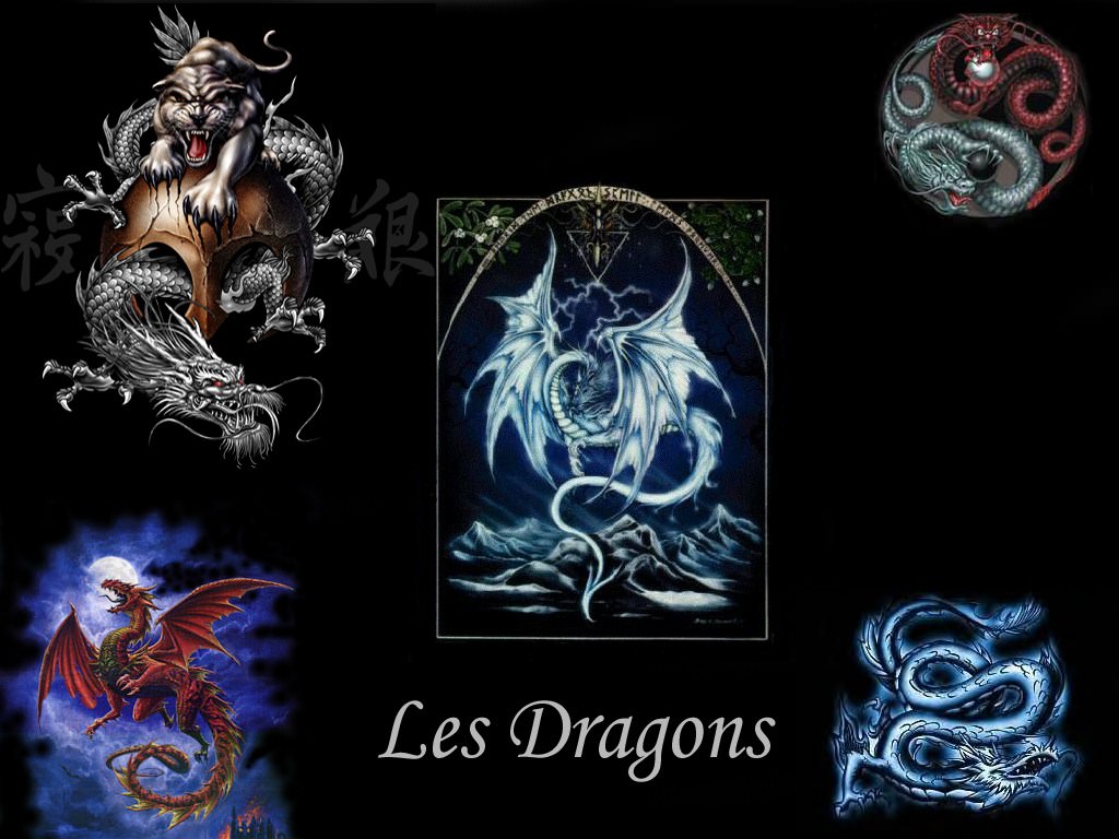 Creatures Dragons Wallpaper N°152385