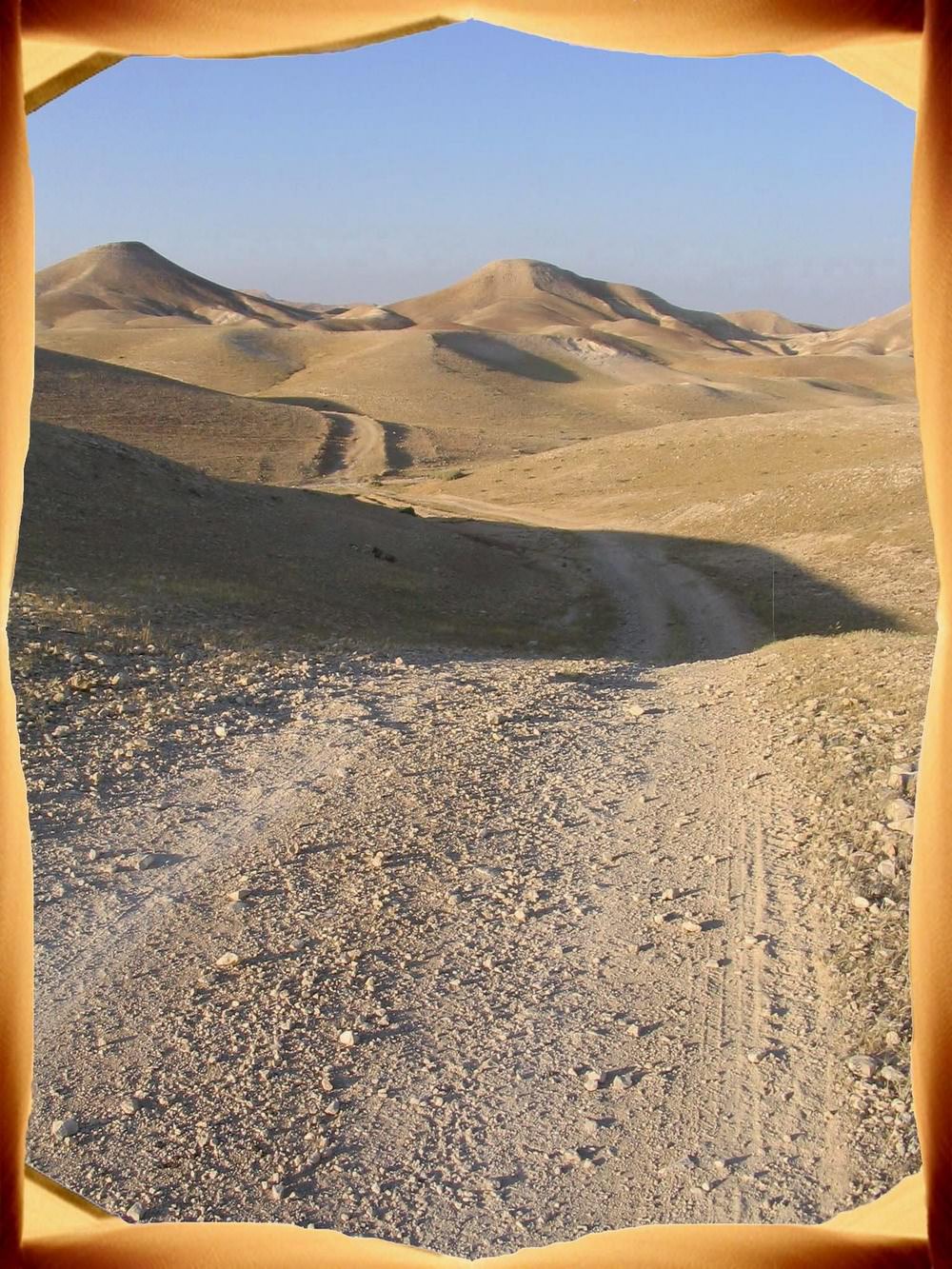 Deserts desert
