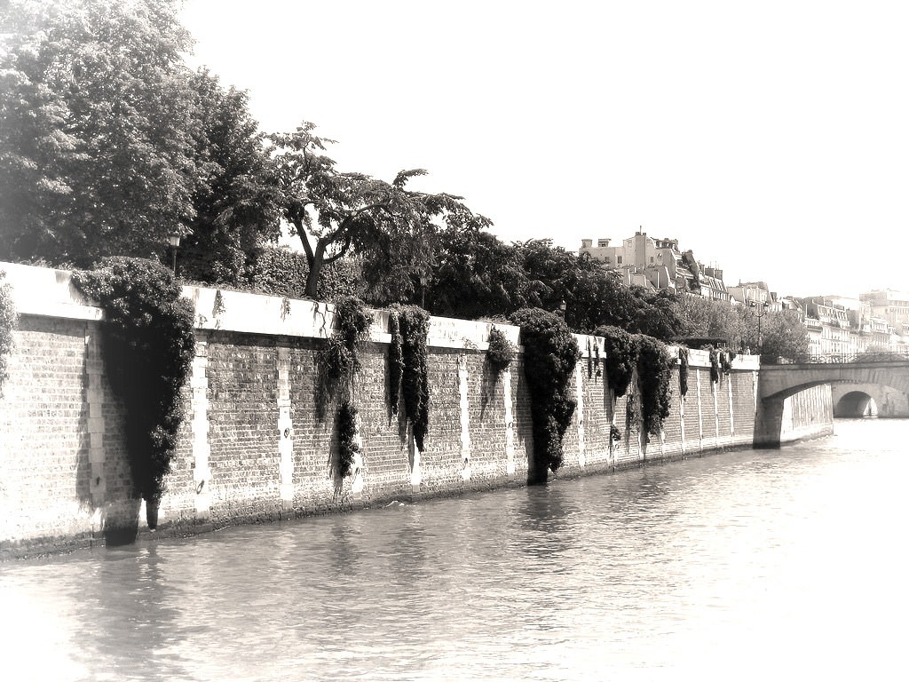 Fleuves et Rivieres Paris