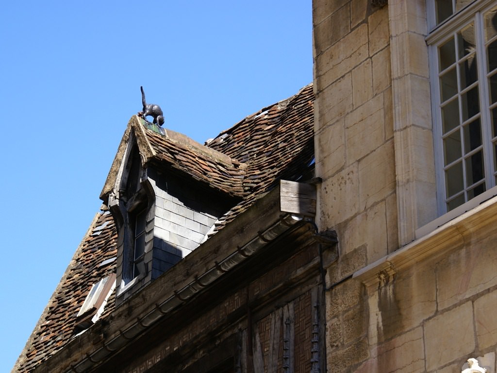 France Bourgogne dijon, le chat sur le toit