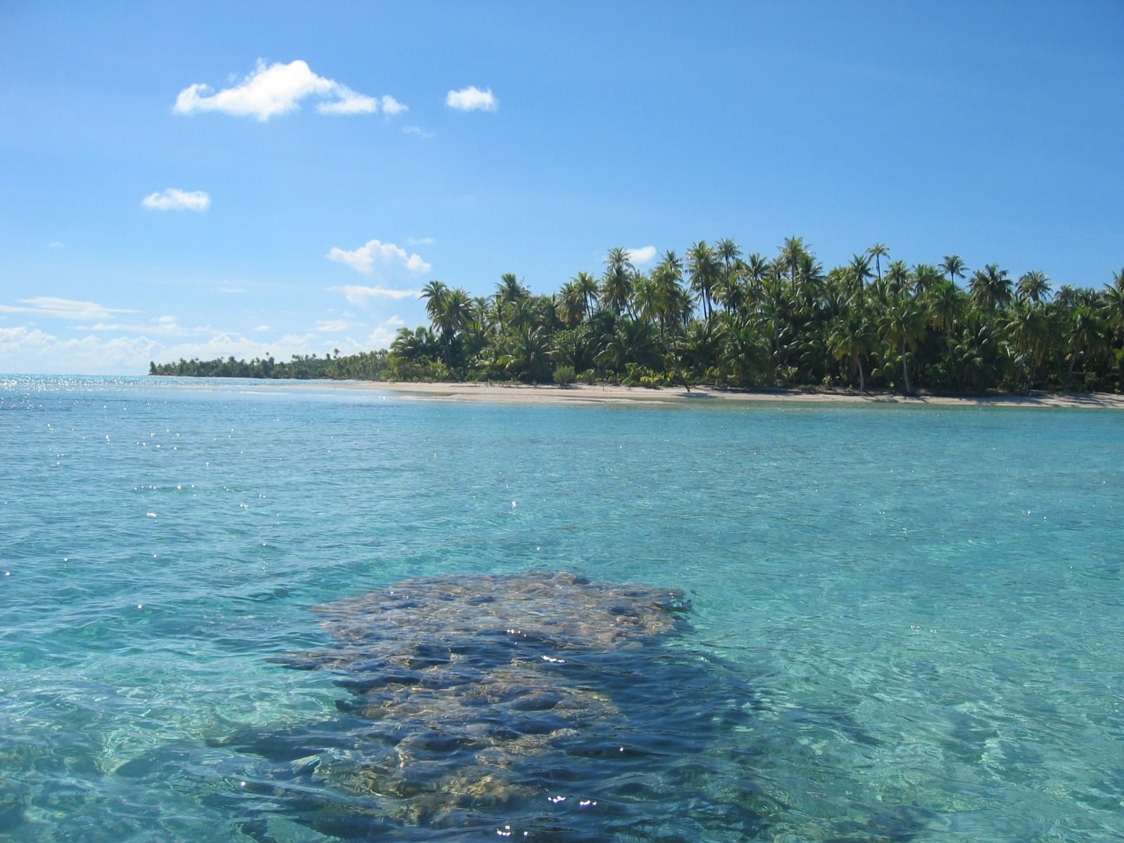 Iles Paradisiaques corail lagon et cocotiers