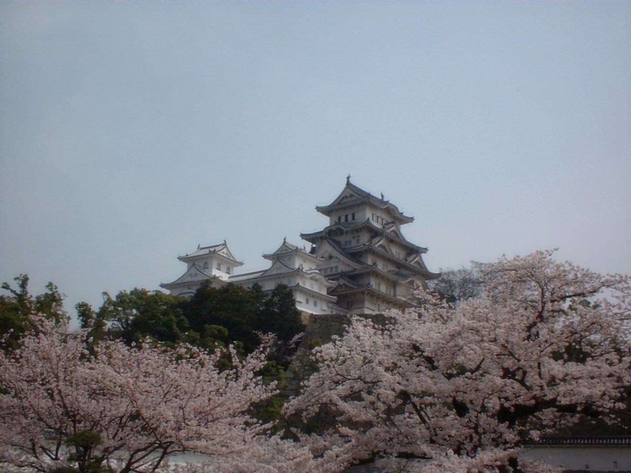 Japon château Himeji