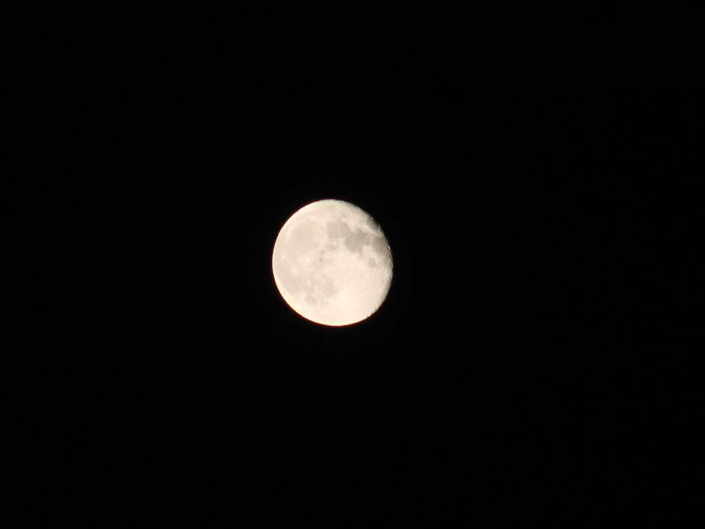 Lune Moon