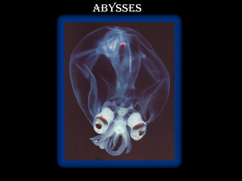 Divers Les abysses